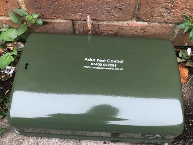 adur-pest-control (11)-kireth-ai